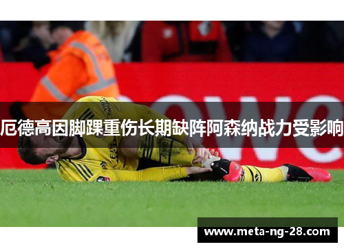 厄德高因脚踝重伤长期缺阵阿森纳战力受影响 厄德高因脚踝重伤长期缺阵阿森纳战力受影响